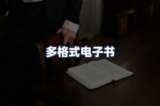 多格式电子书